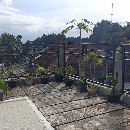 Puri Pilihani Hostel Munduk  Luaran gambar