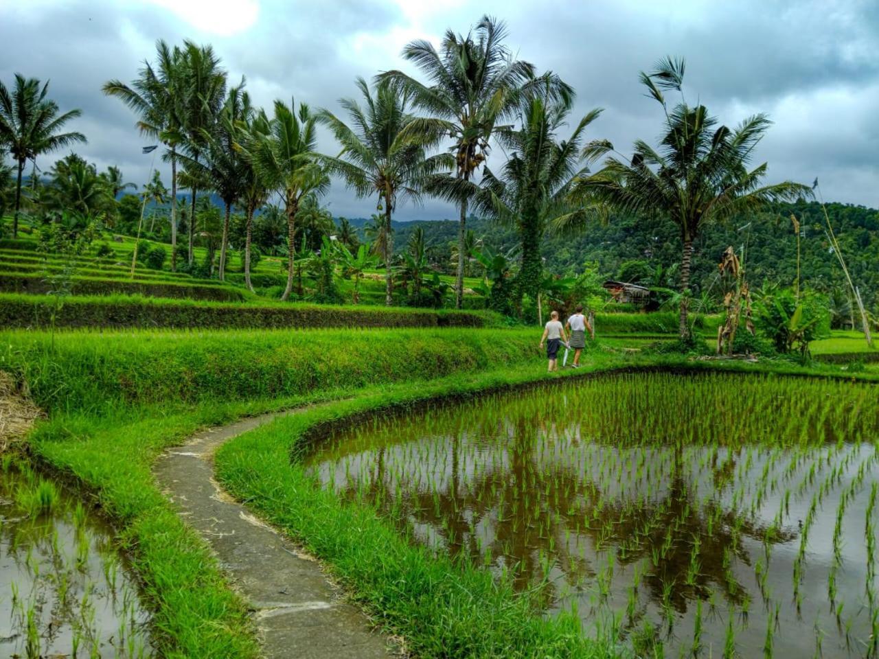 Puri Pilihani Hostel Munduk  Luaran gambar