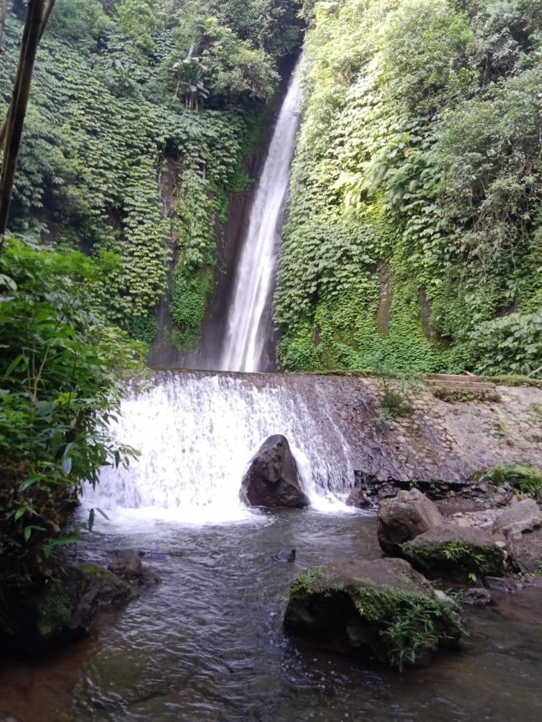 Puri Pilihani Hostel Munduk  Luaran gambar